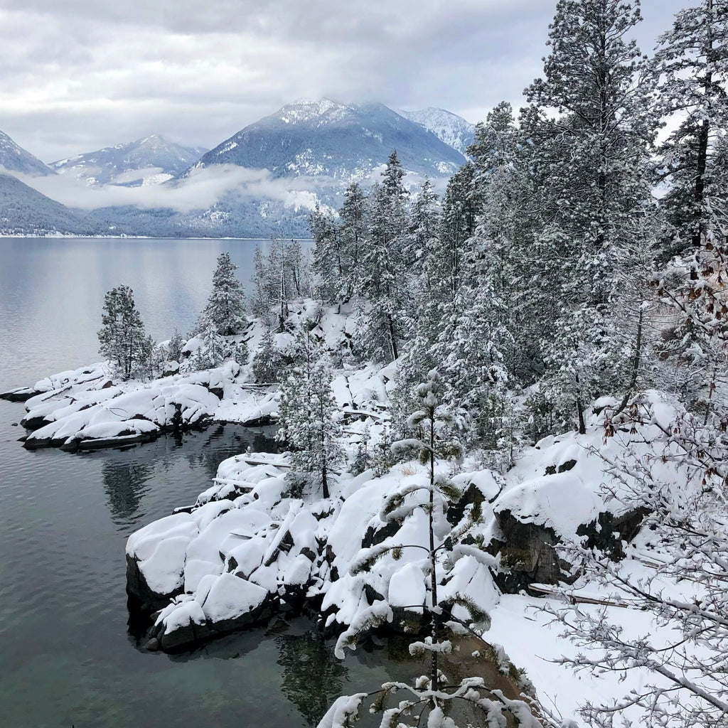 HBD KC! It's our 4th Birthday.